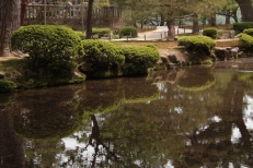 Kanazawa jardin Kenrokuen
