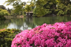 Kanazawa jardin Kenrokuen